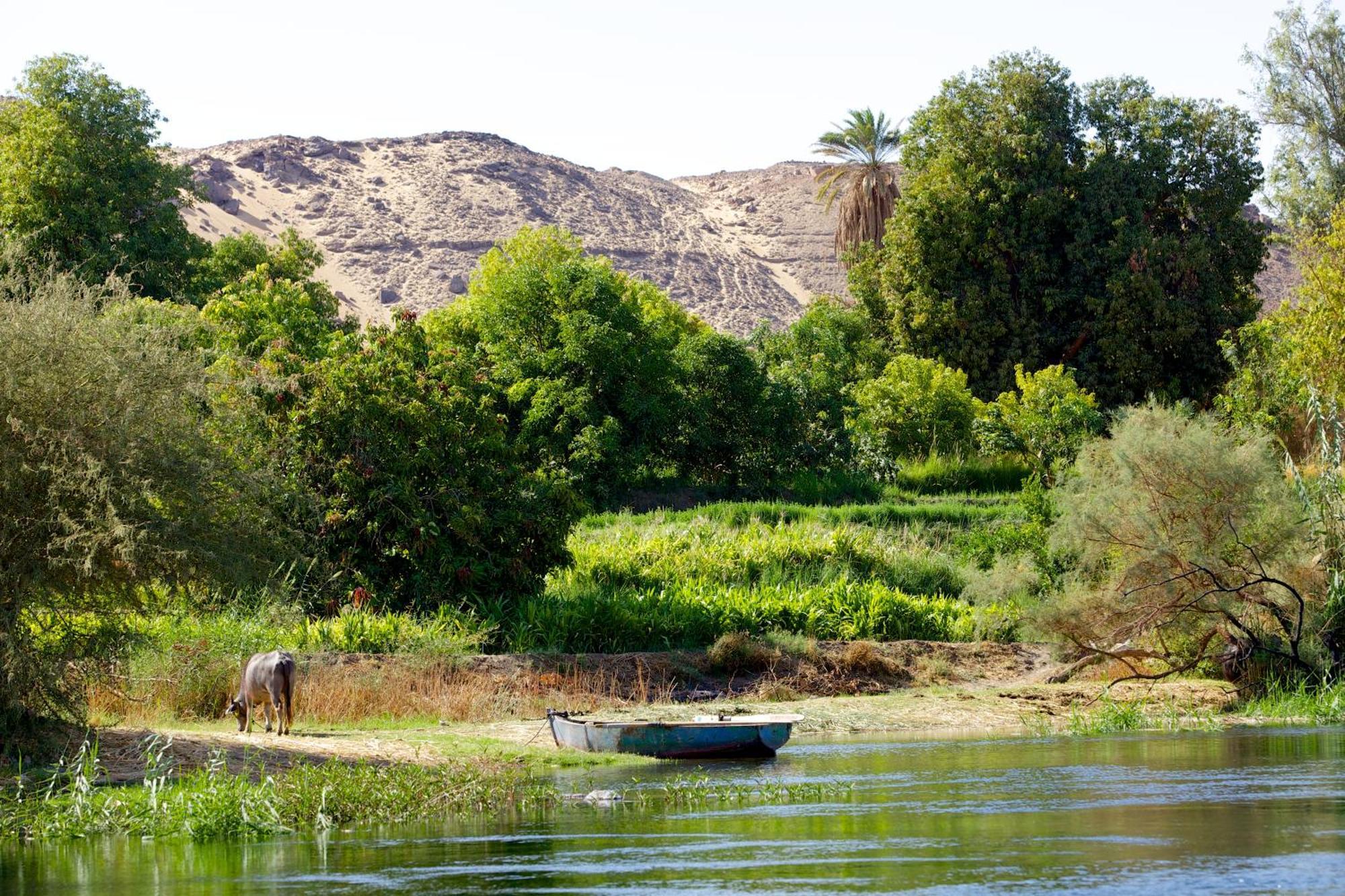 Hadouta Masreya Nubian Guest House Aswan Exterior photo
